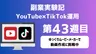 副業実験記｜YouTube×TikTok運用 第43週目｜ゆっくりムービーメーカーで動画作成に挑戦中