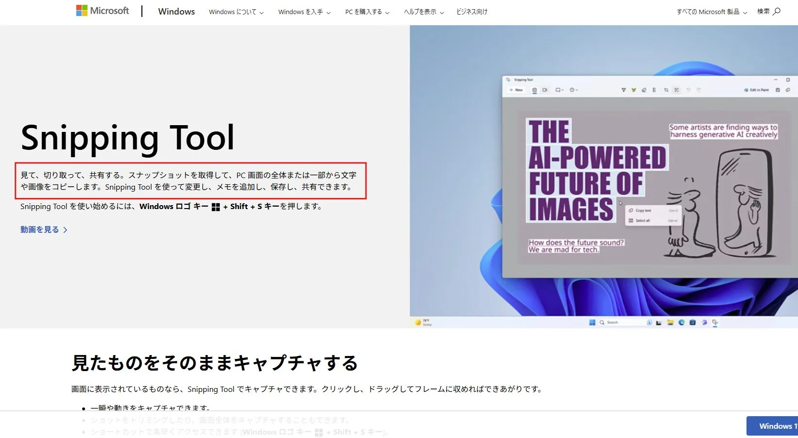 補足のキャプチャ対象の画面キャプチャ（撮る前）