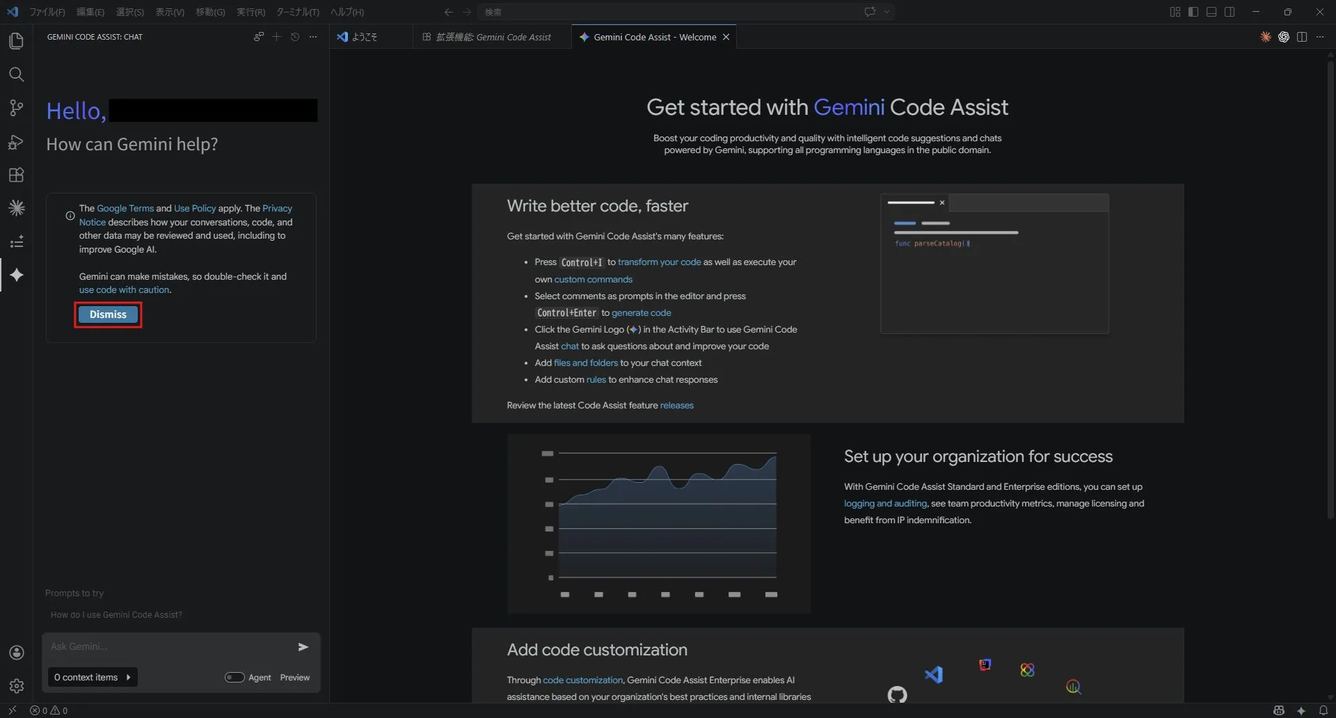 「Gemini Code Assist」サイドバーに表示されている確認メッセージなどの画面キャプチャ